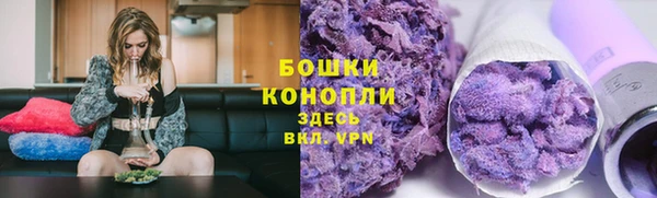 индика Белокуриха