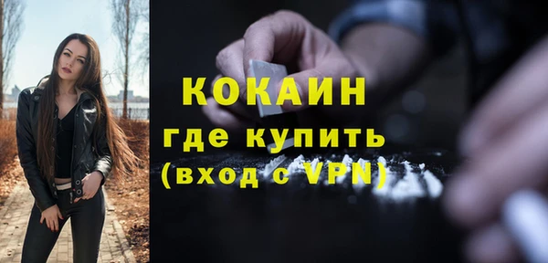 индика Белокуриха