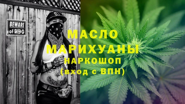 индика Белокуриха