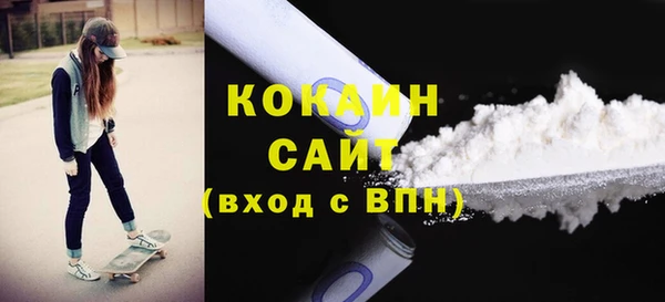 индика Белокуриха