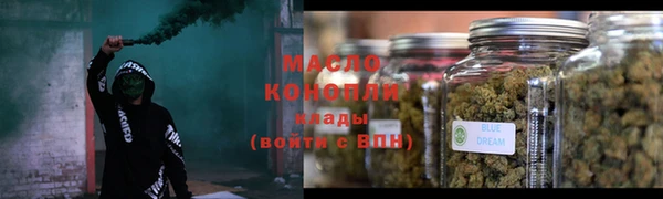 индика Белокуриха