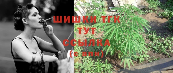 индика Белокуриха