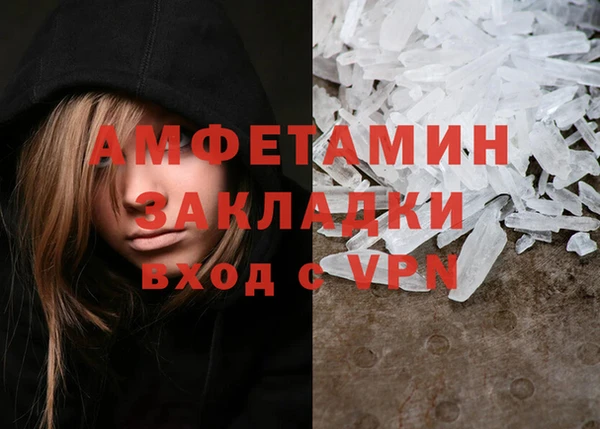 индика Белокуриха