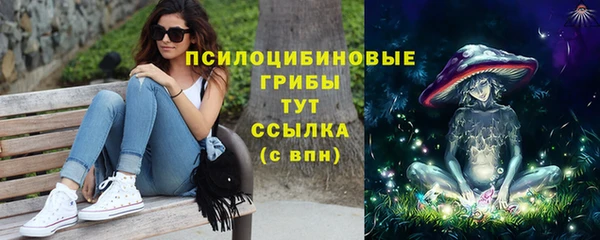 индика Белокуриха