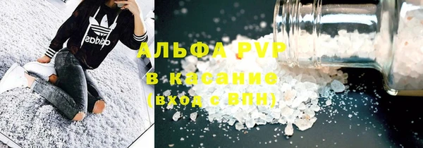 индика Белокуриха
