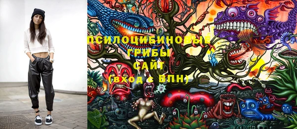 индика Белокуриха