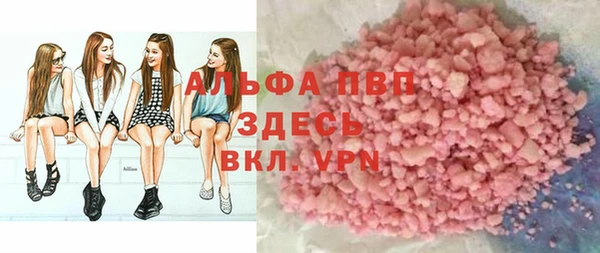 индика Белокуриха