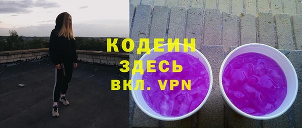 индика Белокуриха