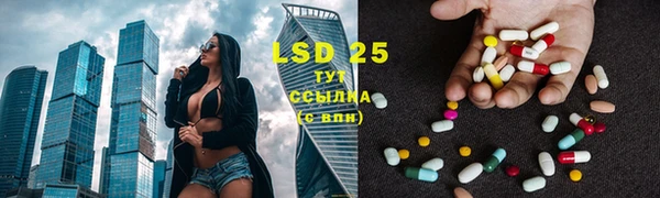 индика Белокуриха